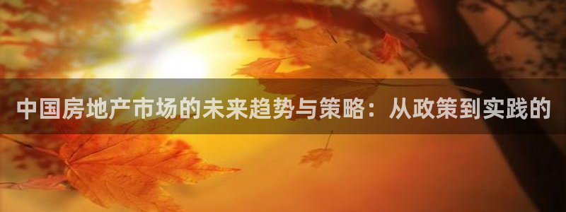 和记娱安全h88285官网：中国房地产市场的未来趋势与策略：