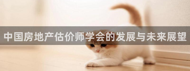 和记娱精湛h88285官网：中国房地产估价师学会的发展与未来