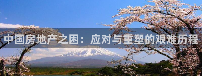 广州和记黄埔官网：中国房地产之困：应对与重塑的艰难历程