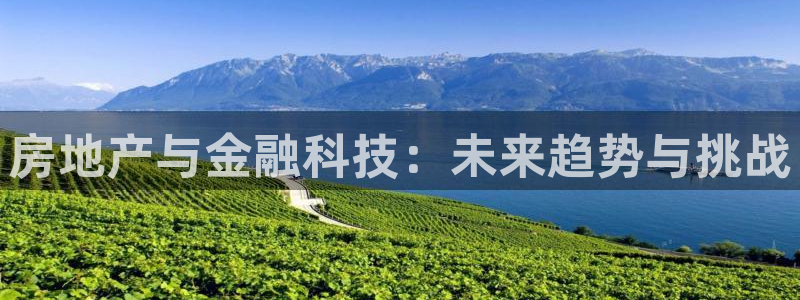 缅甸和记平台官网：房地产与金融科技：未来趋势与挑战