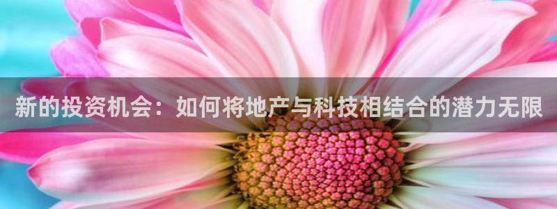 缅甸和记平台官网：新的投资机会：如何将地产与科技相结合的潜力
