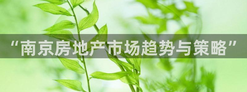 和记电讯APP官网充值：“南京房地产市场趋势与策略”