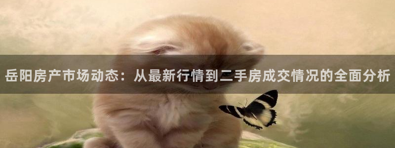 广州和记黄埔官网：岳阳房产市场动态：从最新行情到二手房成交情