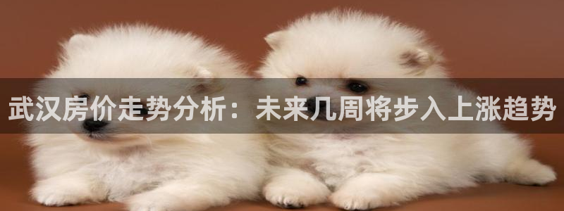 和记娱技精h88285官网：武汉房价走势分析：未来几周将步入