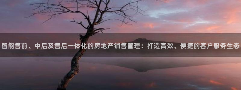 和记娱答疑h88285官网：智能售前、中后及售后一体化的房地