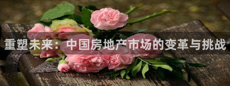 和记娱乐 怡情搏娱官网：重塑未来：中国房地产市场的变革与挑战