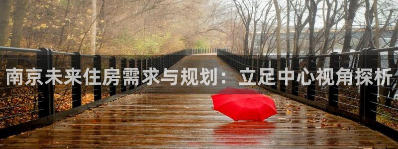 和记万佳官网：南京未来住房需求与规划：立足中心视角探析