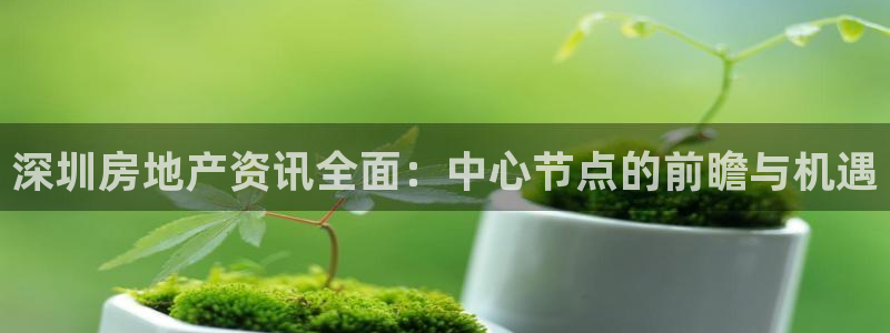 和记娱真好h88285官网：深圳房地产资讯全面：中心节点的前