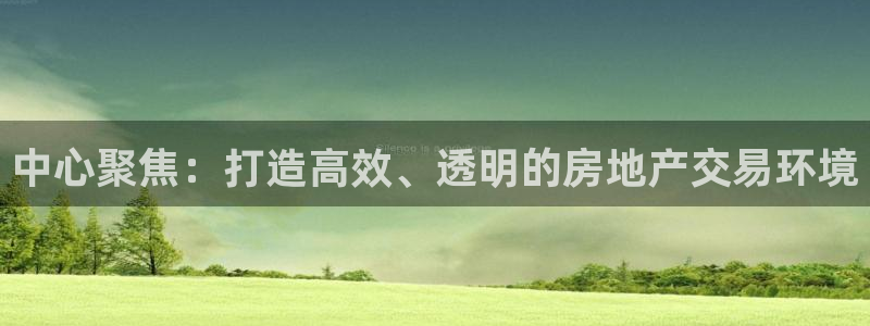 和记电游官网：中心聚焦：打造高效、透明的房地产交易环境