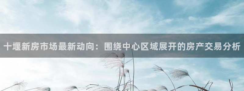 和记3电讯官网：十堰新房市场最新动向：围绕中心区域展开的房产