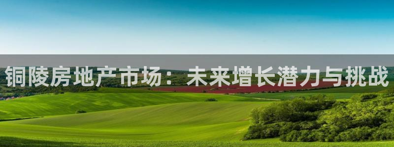 长江和记官网：铜陵房地产市场：未来增长潜力与挑战