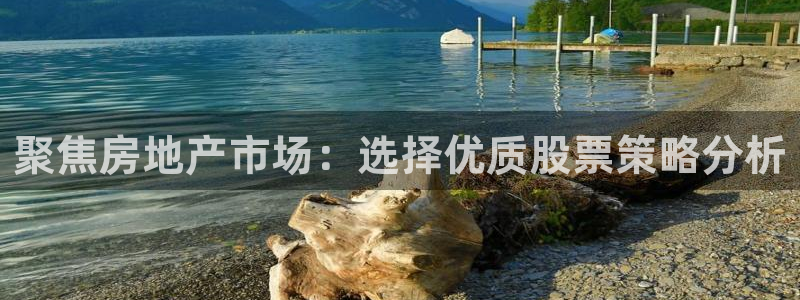 白云 和记黄埔官网：聚焦房地产市场：选择优质股票策略分析