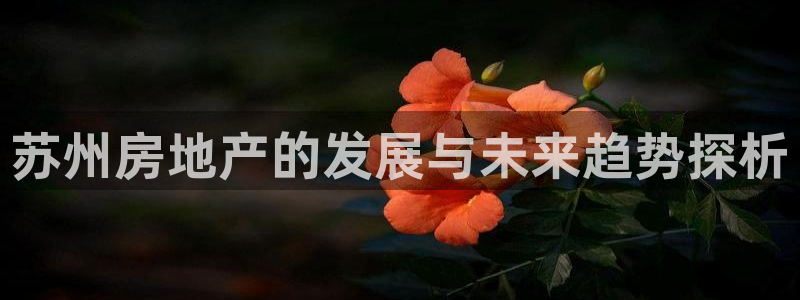 和记唯一官网：苏州房地产的发展与未来趋势探析