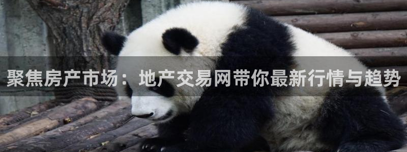 和记188官网：聚焦房产市场：地产交易网带你最新行情与趋势