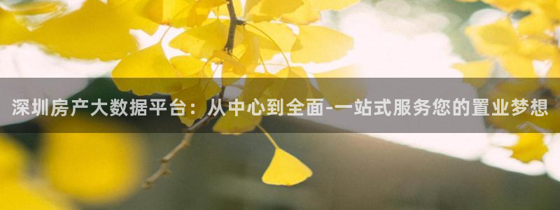 胡和记官网：深圳房产大数据平台：从中心到全面-一站式服务您的