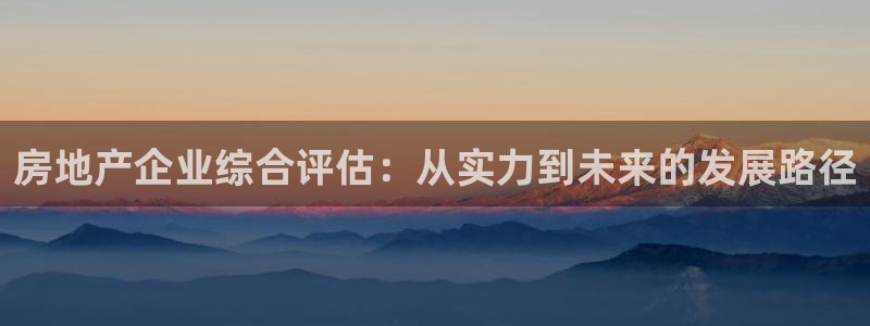 和记官网开户 银博网：房地产企业综合评估：从实力到未来的发展