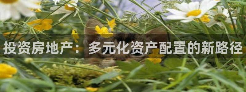 三宇和记官网：投资房地产：多元化资产配置的新路径
