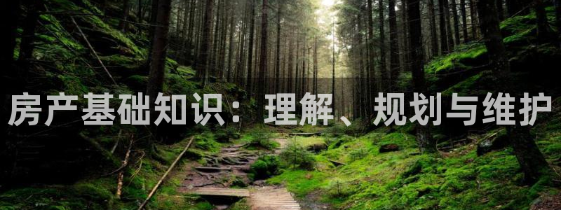 香港和记集团官网：房产基础知识：理解、规划与维护