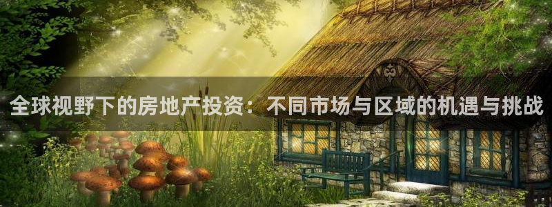 和记旗舰官网：全球视野下的房地产投资：不同市场与区域的机遇与