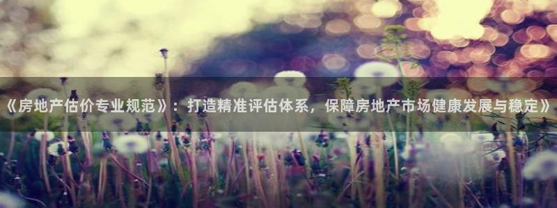 和记茶餐厅官网：《房地产估价专业规范》：打造精准评估体系，保