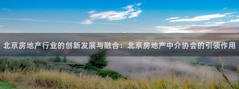 和记官网登录：北京房地产行业的创新发展与融合：北京房地产中介
