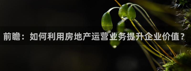 和记黄埔m 官网：前瞻：如何利用房地产运营业务提升企业价值？