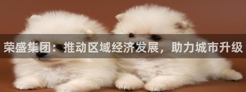 和记国际有限公司官网：荣盛集团：推动区域经济发展，助力城市升