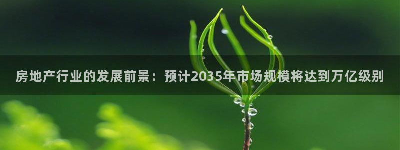 和记娱乐网官网：房地产行业的发展前景：预计2035年市场规模