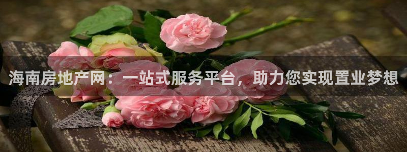 白云 和记黄埔官网：海南房地产网：一站式服务平台，助力您实现