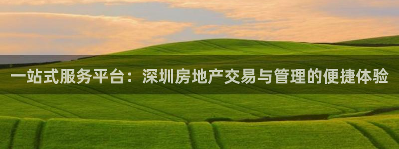 澳门和记平台官网：一站式服务平台：深圳房地产交易与管理的便捷