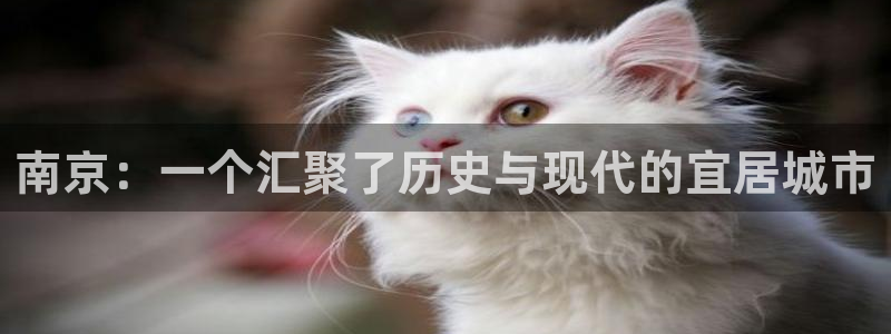 和记3hk官网：南京：一个汇聚了历史与现代的宜居城市