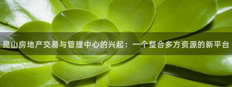 菲律宾和记官网：昆山房地产交易与管理中心的兴起：一个整合多方