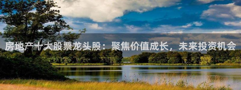 和记官网亚洲唯一官网：房地产十大股票龙头股：聚焦价值成长，未