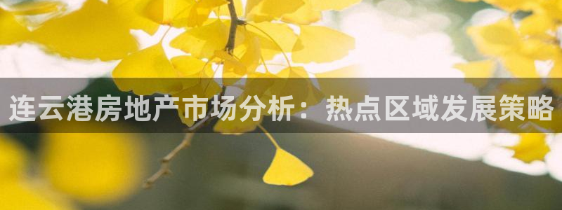 和记188官网：连云港房地产市场分析：热点区域发展策略