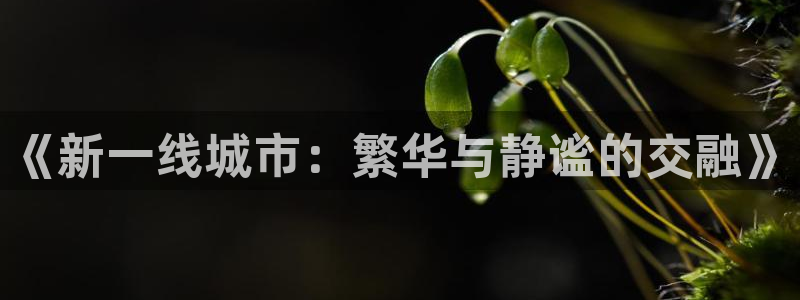 和记电信官网：《新一线城市：繁华与静谧的交融》