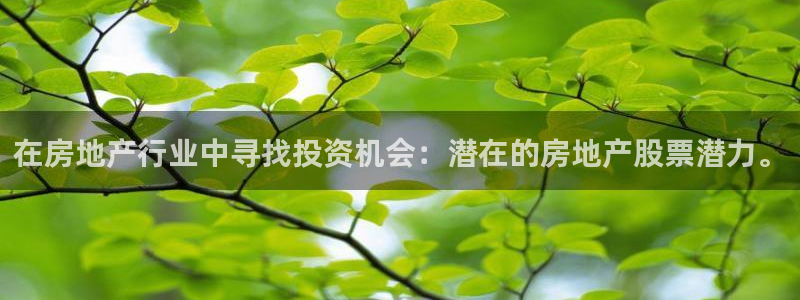 和记娱安全h88285官网：在房地产行业中寻找投资机会：潜在