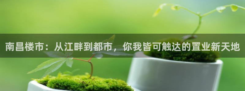 下载和记官网：南昌楼市：从江畔到都市，你我皆可触达的置业新天