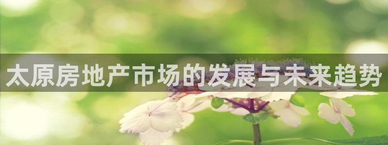 和记官网app是谁的：太原房地产市场的发展与未来趋势