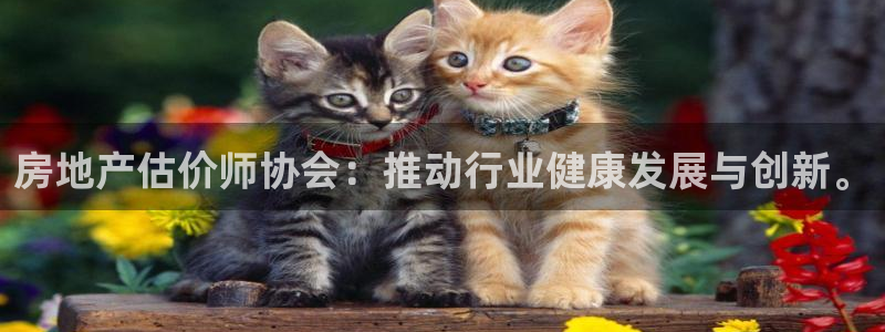 和记官网平台入口：房地产估价师协会：推动行业健康发展与创新。