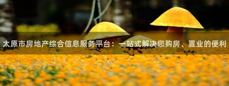 和记娱乐网官网：太原市房地产综合信息服务平台：一站式解决您购