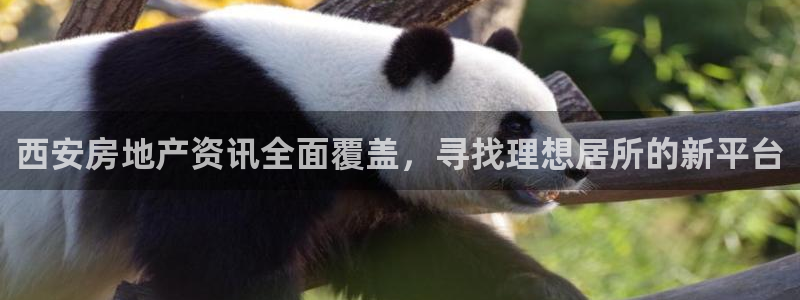 和记黄埔官网：西安房地产资讯全面覆盖，寻找理想居所的新平台