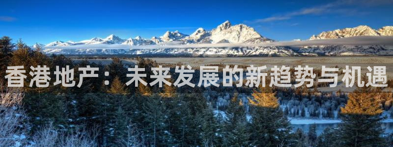 和记黄埔公司官网：香港地产：未来发展的新趋势与机遇