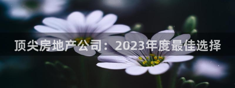 和记网址官网：顶尖房地产公司：2023年度最佳选择