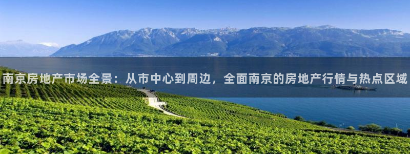 和记官网平台入口：南京房地产市场全景：从市中心到周边，全面南