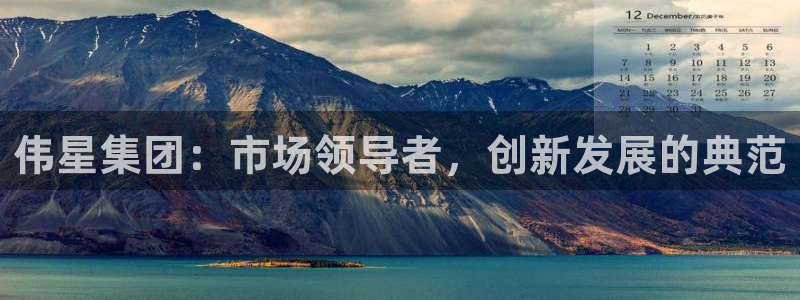 和记官网 (中国区)官方网站：伟星集团：市场领导者，创新发展