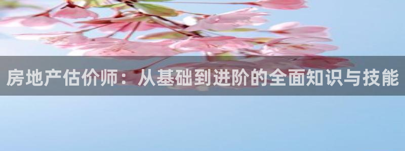 和记娱官网h88285怡情：房地产估价师：从基础到进阶的全面