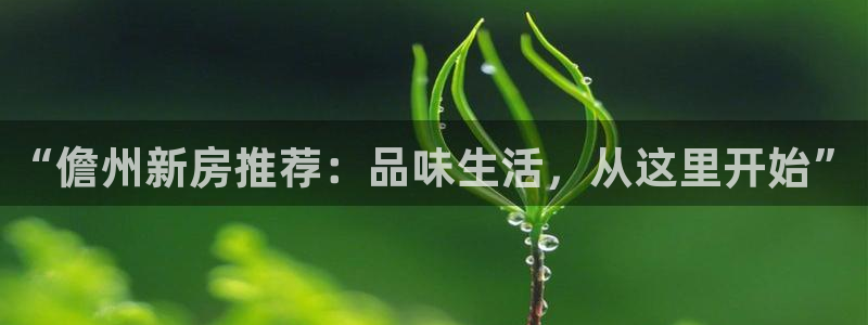 和记黄埔 官网：“儋州新房推荐：品味生活，从这里开始”