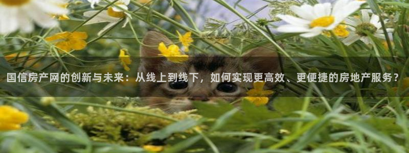 h88和记官网登录：国信房产网的创新与未来：从线上到线下，如