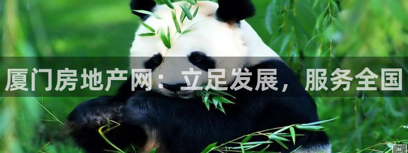 和记万佳国际家居城官网：厦门房地产网：立足发展，服务全国