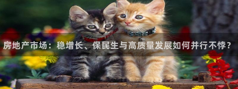 和黄记官网：房地产市场：稳增长、保民生与高质量发展如何并行不